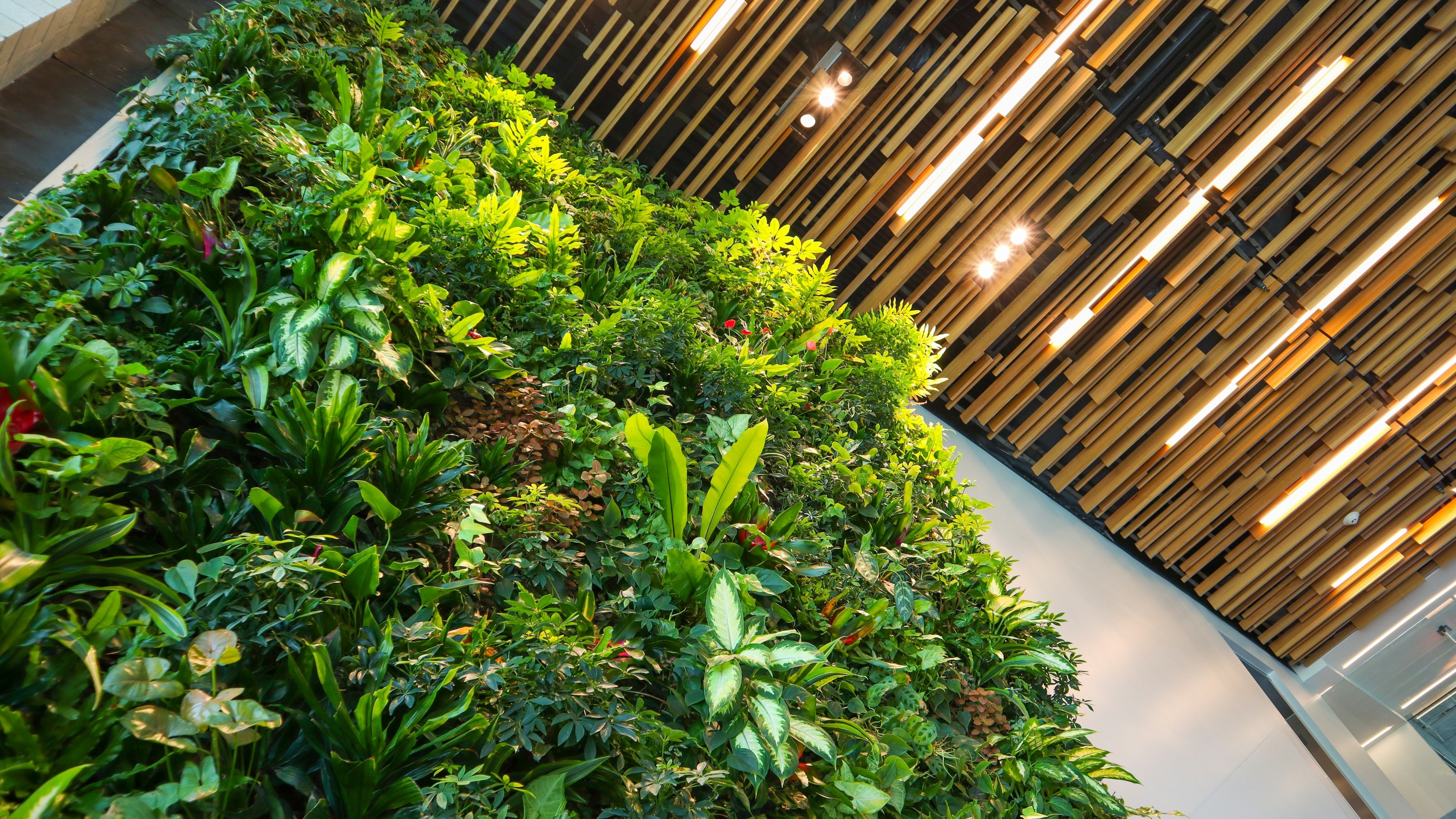 Verde de interior: trabajo en un espacio verde