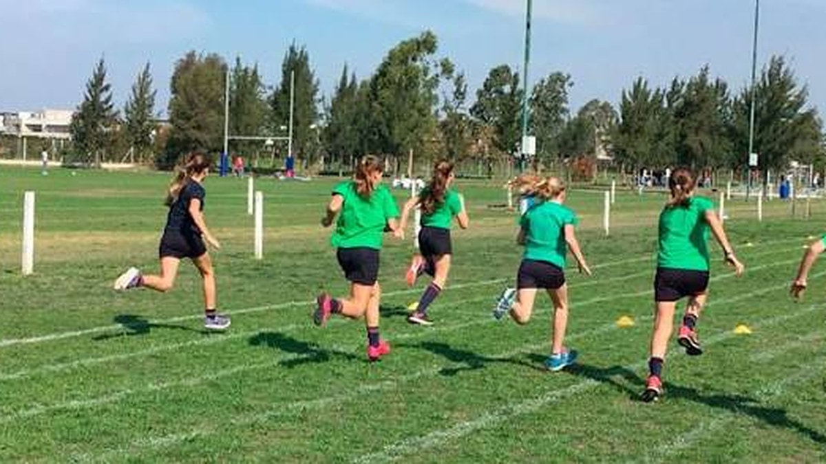Espacio verde: colegios y universidades